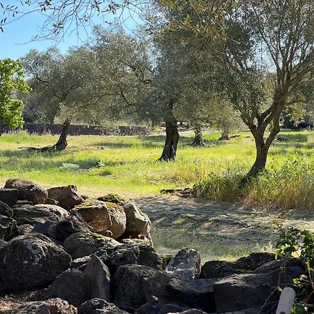 Muristene Pozzo Santa Cristina Paulilatino 외부 사진