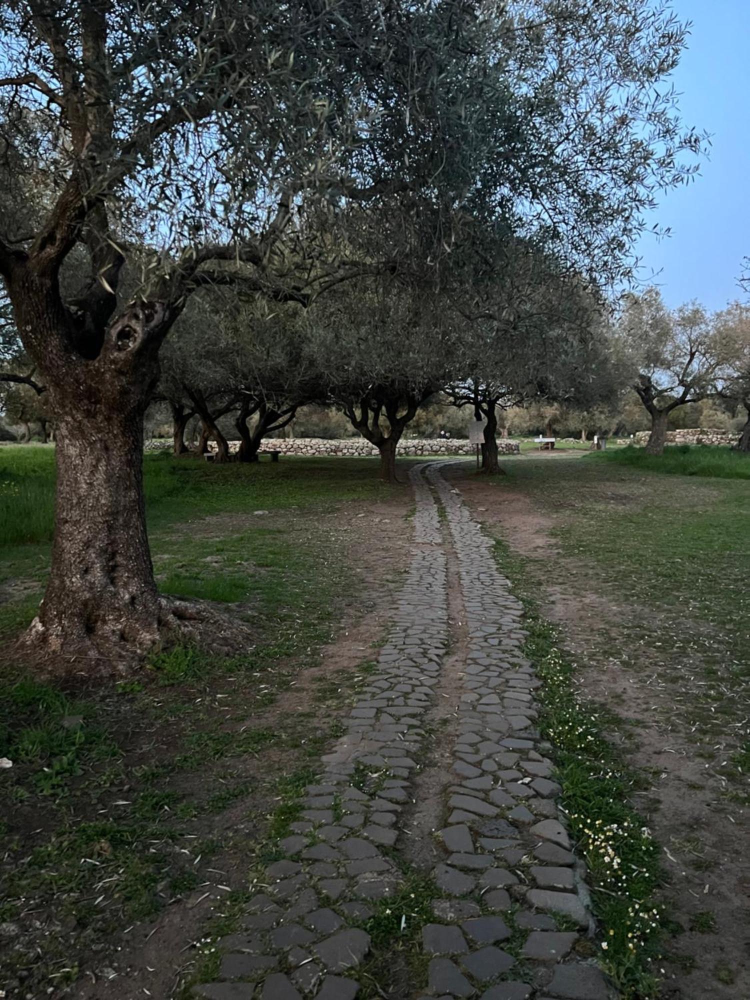 Muristene Pozzo Santa Cristina Paulilatino 외부 사진