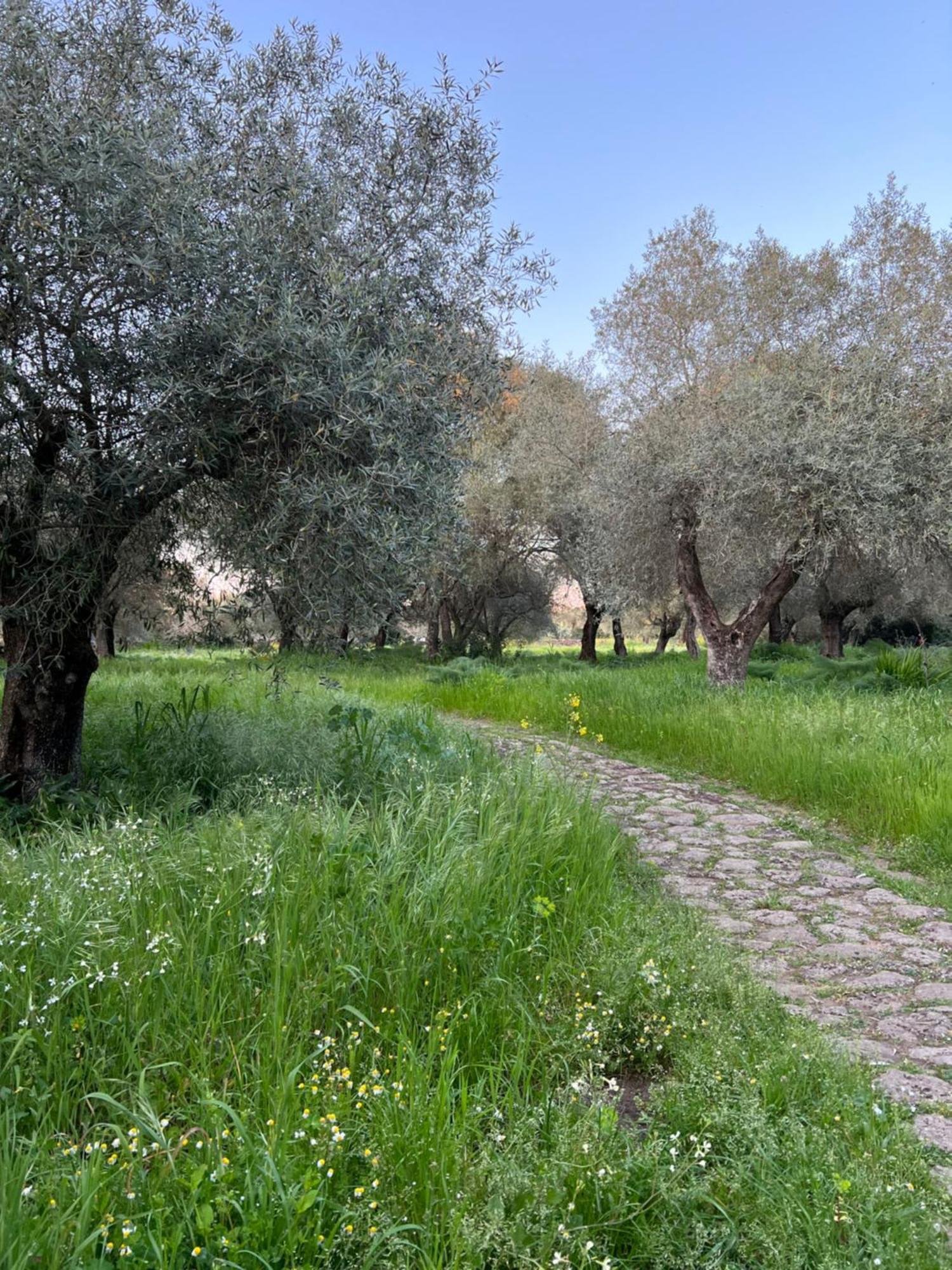 Muristene Pozzo Santa Cristina Paulilatino 외부 사진