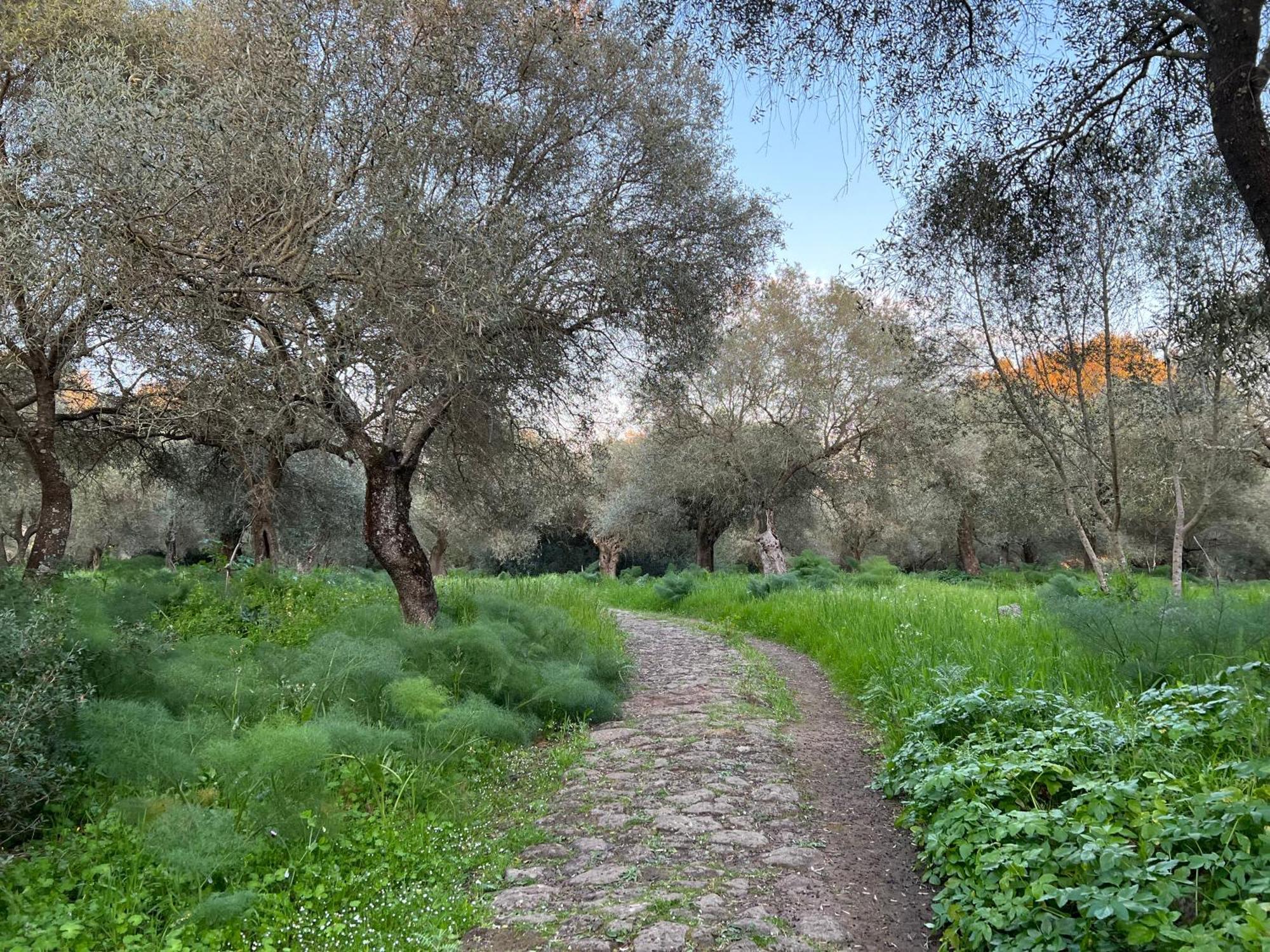 Muristene Pozzo Santa Cristina Paulilatino 외부 사진