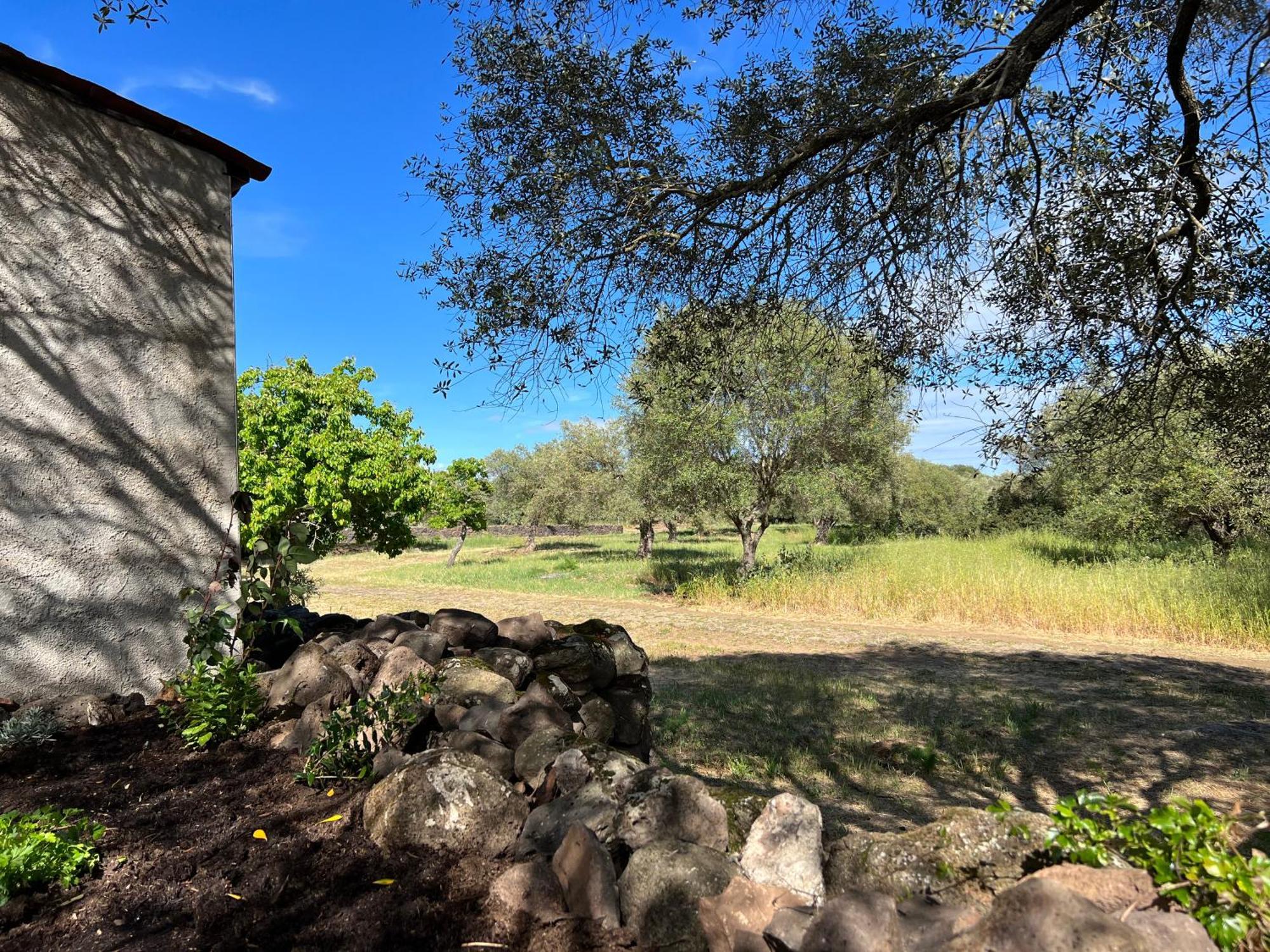 Muristene Pozzo Santa Cristina Paulilatino 외부 사진